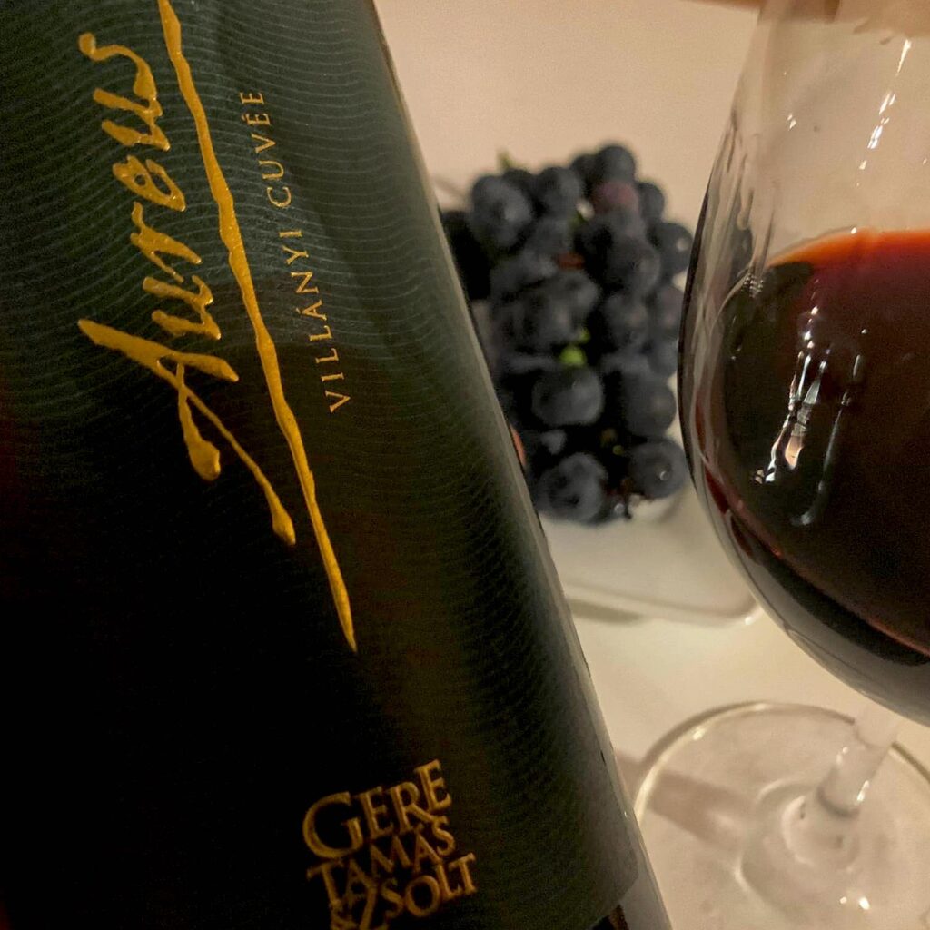 SÁNDOR Zsolt Rostos 22