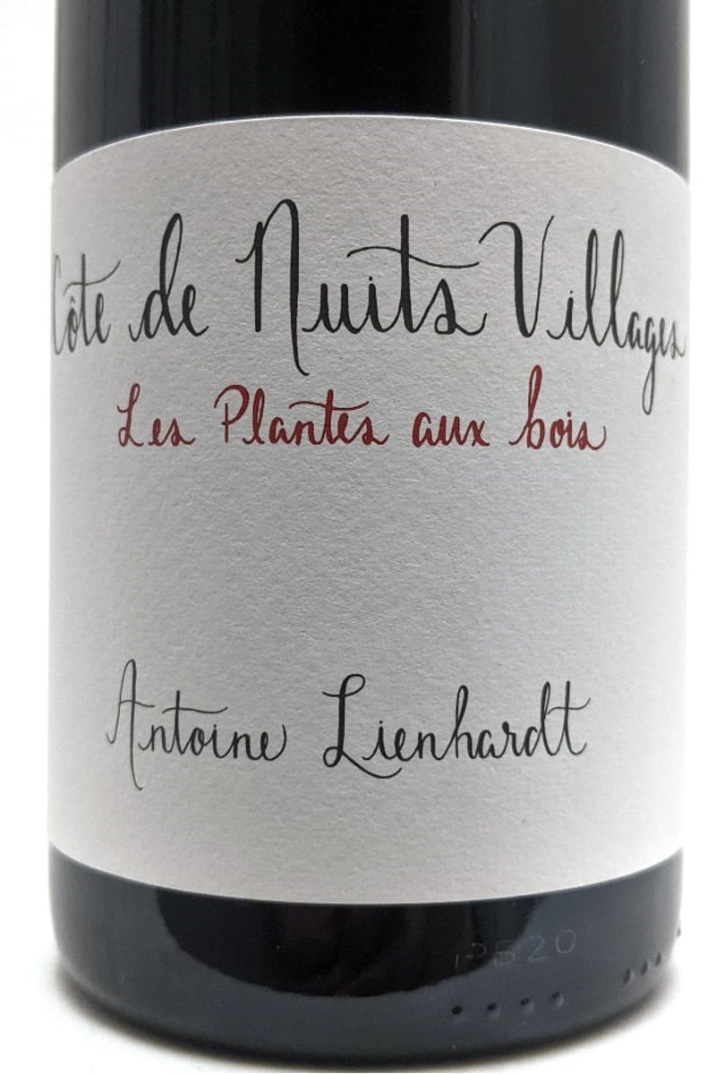 Antoine Lienhardt Bourgogne Les Plantes au Bois 2022